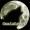 Canislupus's picture