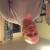 Iwan's picture