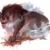 werewolf43's picture